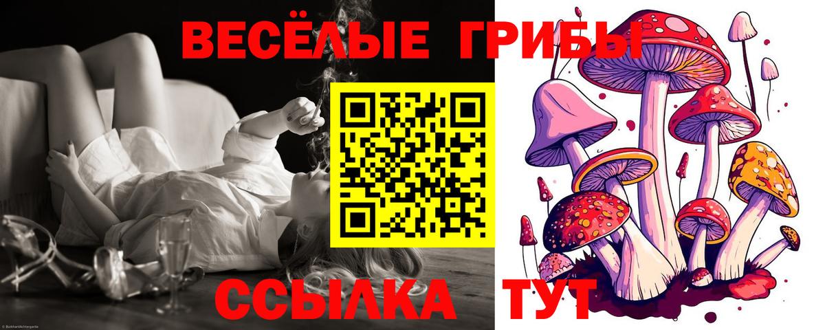 Галлюциногенные грибы Magic Shrooms Асино