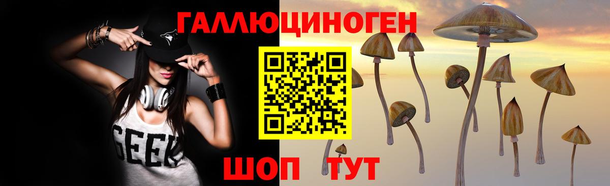 Галлюциногенные грибы прущие грибы  Асино 